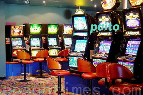 paito No Commission Baccarat On paito